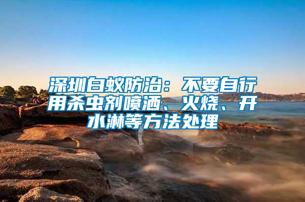 深圳白蟻防治：不要自行用殺蟲劑噴灑、火燒、開水淋等方法處理