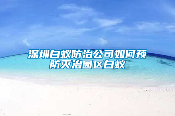 深圳白蟻防治公司如何預防滅治園區(qū)白蟻