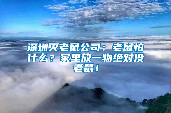 深圳滅老鼠公司：老鼠怕什么？家里放一物絕對沒老鼠！