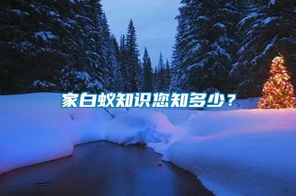 家白蟻知識您知多少？