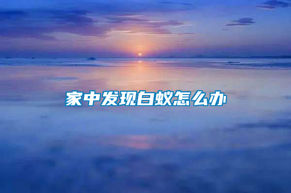 家中發(fā)現(xiàn)白蟻怎么辦