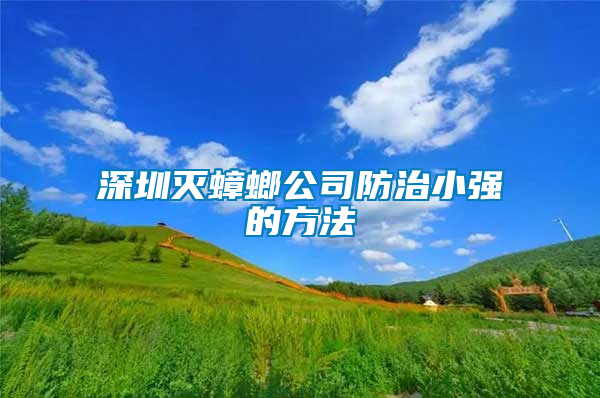 深圳滅蟑螂公司防治小強(qiáng)的方法