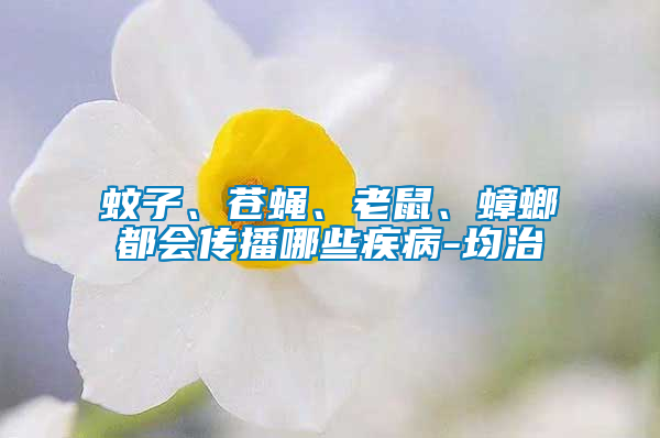 蚊子、蒼蠅、老鼠、蟑螂都會(huì)傳播哪些疾病-均治