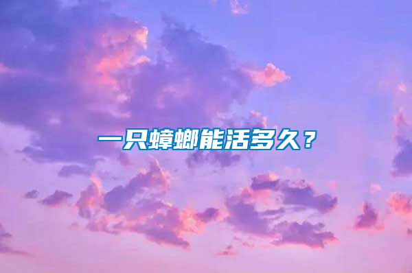 一只蟑螂能活多久？