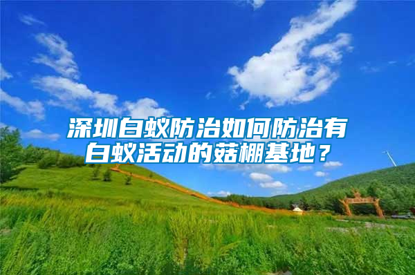 深圳白蟻防治如何防治有白蟻活動的菇棚基地？