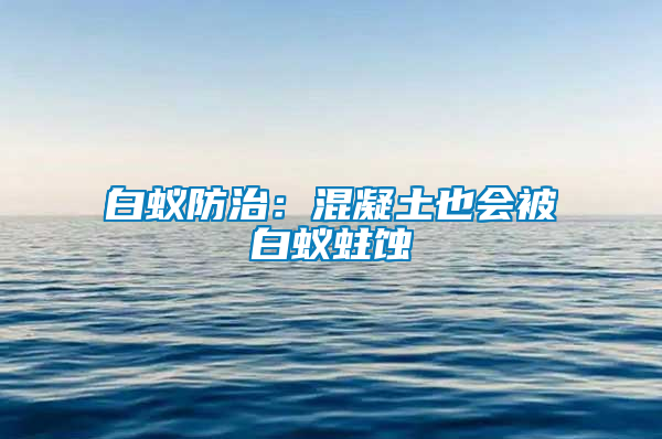 白蟻防治：混凝土也會(huì)被白蟻蛀蝕