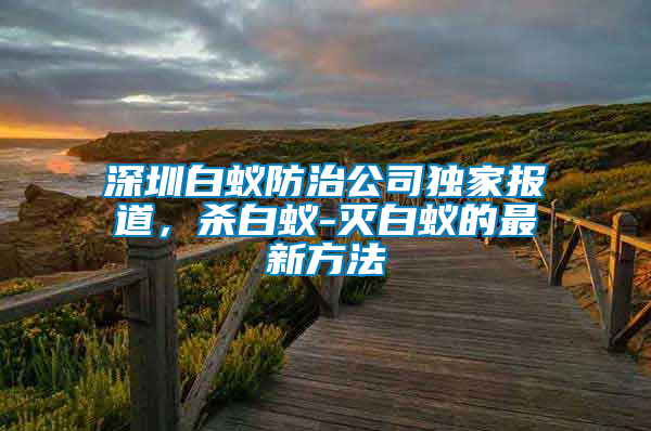 深圳白蟻防治公司獨家報道，殺白蟻-滅白蟻的最新方法