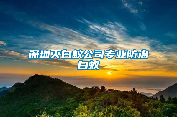 深圳滅白蟻公司專(zhuān)業(yè)防治白蟻