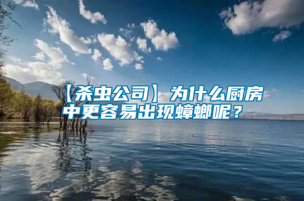 【殺蟲公司】為什么廚房中更容易出現(xiàn)蟑螂呢？