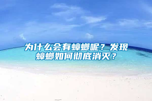 為什么會有蟑螂呢？發(fā)現(xiàn)蟑螂如何徹底消滅？