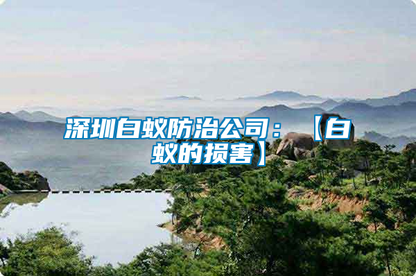 深圳白蟻防治公司：【白蟻的損害】